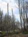 photo46_small.jpg