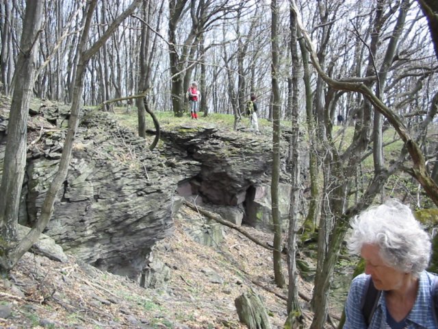 photo47.jpg