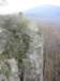 photo50_small.jpg