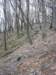 photo58_small.jpg