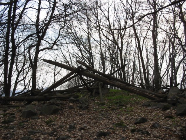 photo60.jpg