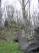 photo61_small.jpg