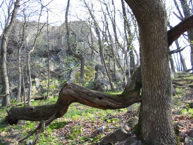 photo65.jpg