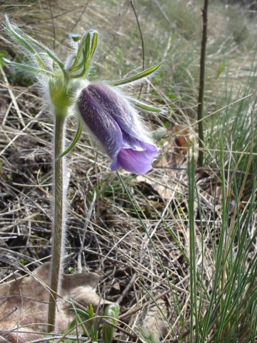 photo70.jpg