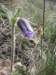 photo70_small.jpg