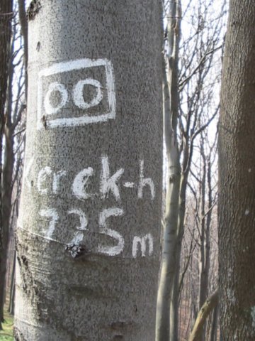 photo76.jpg