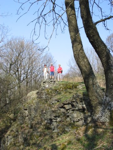 photo78.jpg