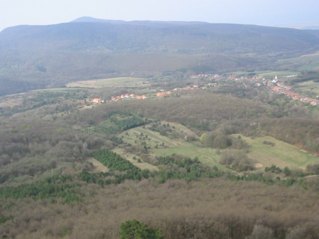 photo8.jpg