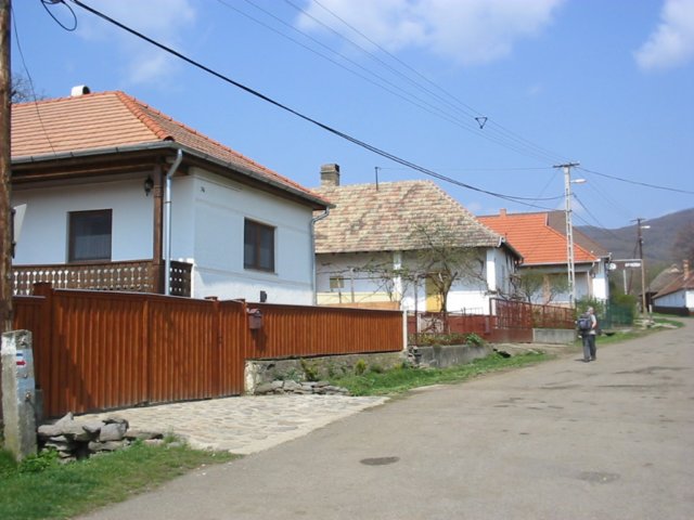 photo87.jpg