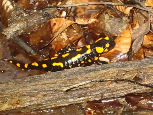 photo1.jpg