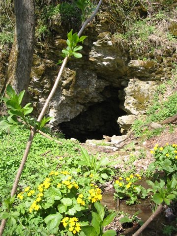photo4.jpg