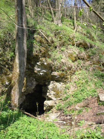 photo5.jpg