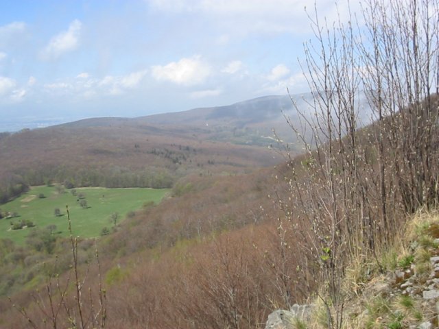 photo11.jpg