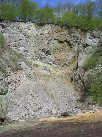 photo14.jpg
