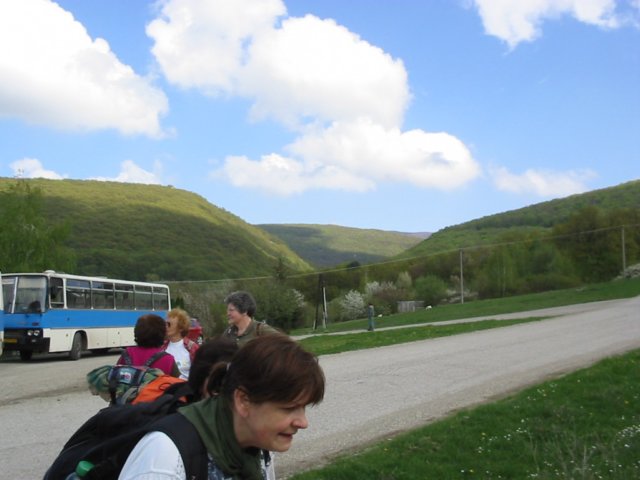 photo17.jpg