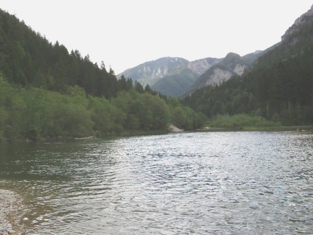 photo1.jpg