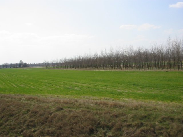 photo21.jpg