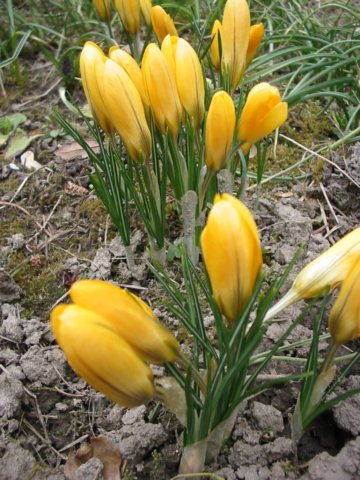 photo44.jpg