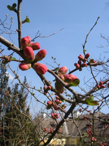 photo51.jpg