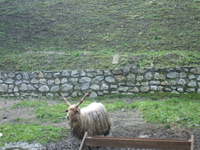 photo1.jpg