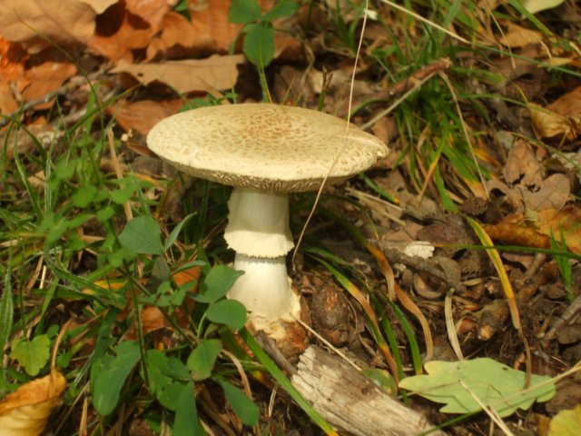 photo11.jpg