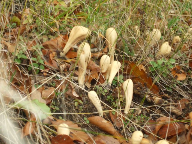 photo13.jpg