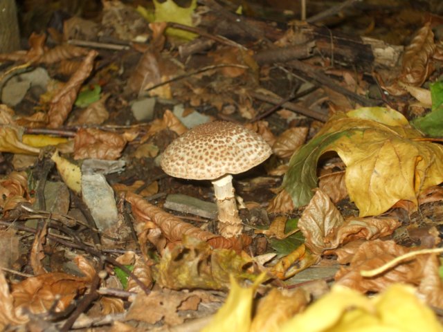 photo16.jpg