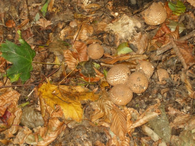 photo17.jpg