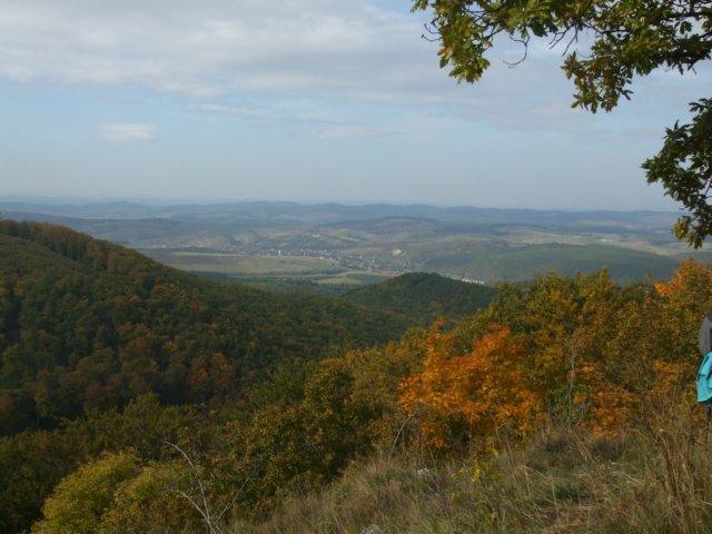 photo23.jpg