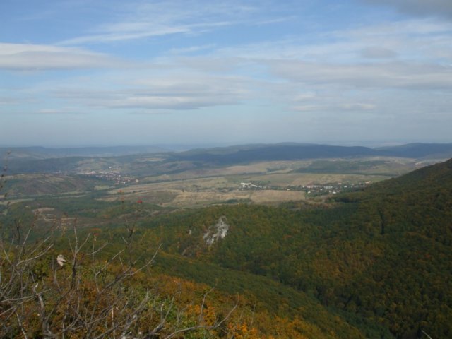 photo29.jpg