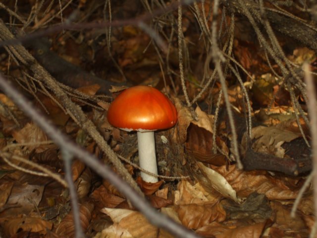 photo4.jpg