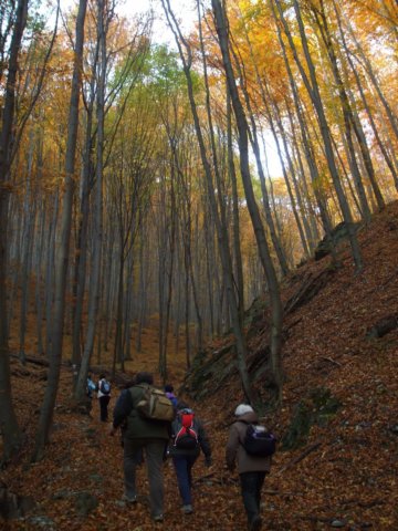 photo1.jpg