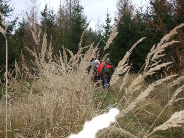 photo11.jpg