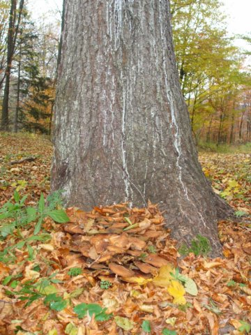 photo15.jpg
