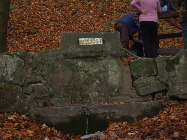 photo2.jpg