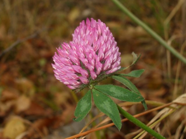 photo4.jpg