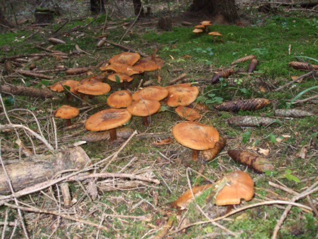 photo9.jpg