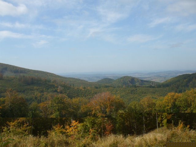 photo1.jpg
