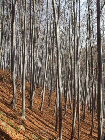 photo10.jpg