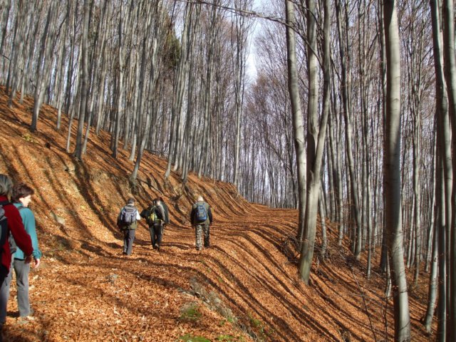 photo11.jpg