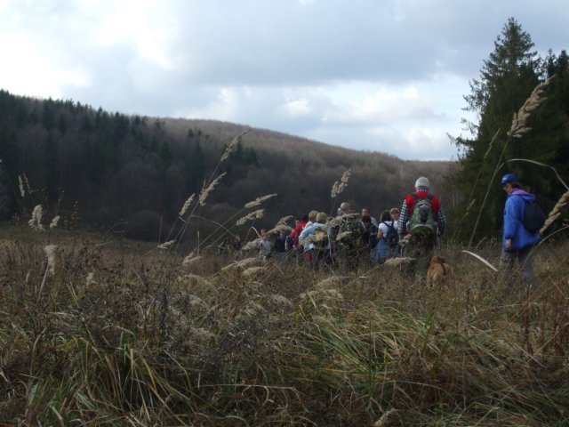 photo17.jpg