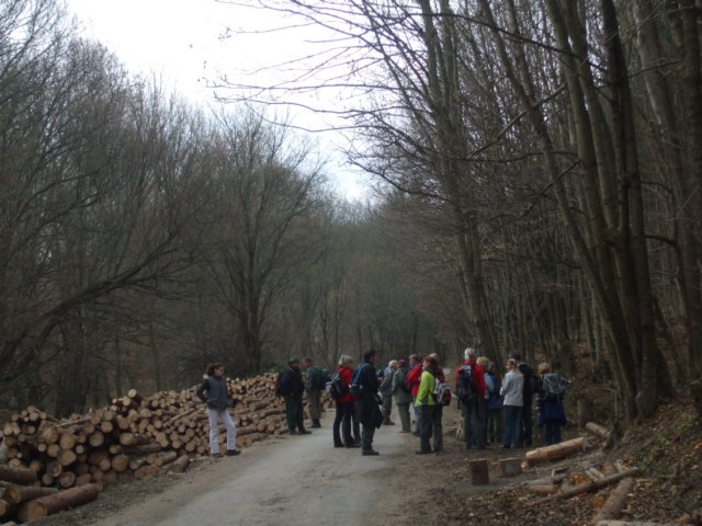photo23.jpg