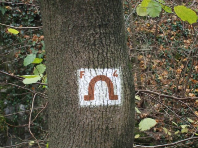 photo4.jpg