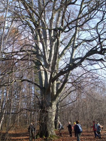 photo2.jpg