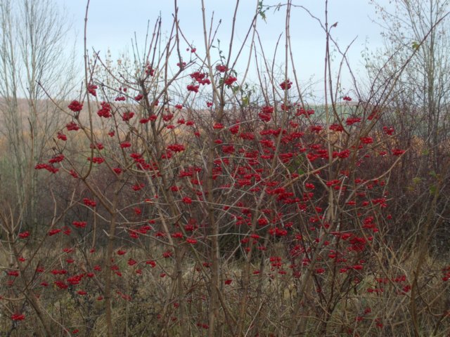 photo23.jpg