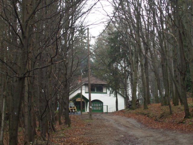 photo26.jpg