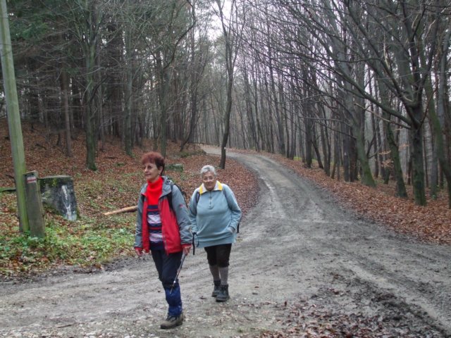 photo27.jpg