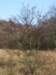photo5_small.jpg
