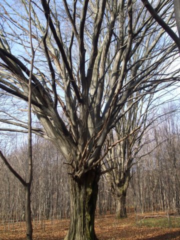 photo7.jpg