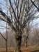 photo7_small.jpg